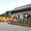 元興寺　盆景色（４）