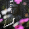 コスモス寺にて（１７）