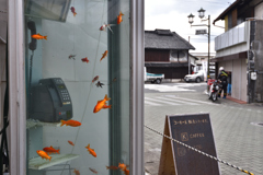 金魚が泳ぐ電話ボックス（１）