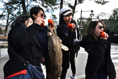 記念撮影に割り込む鹿