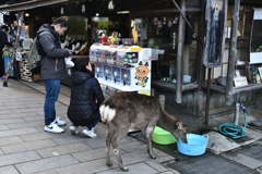 鹿への思いやり