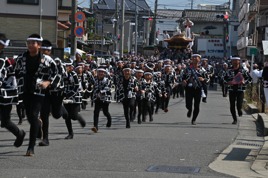 だんじり祭り（６）