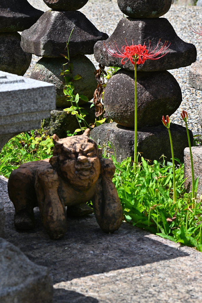 元興寺の秋（５）
