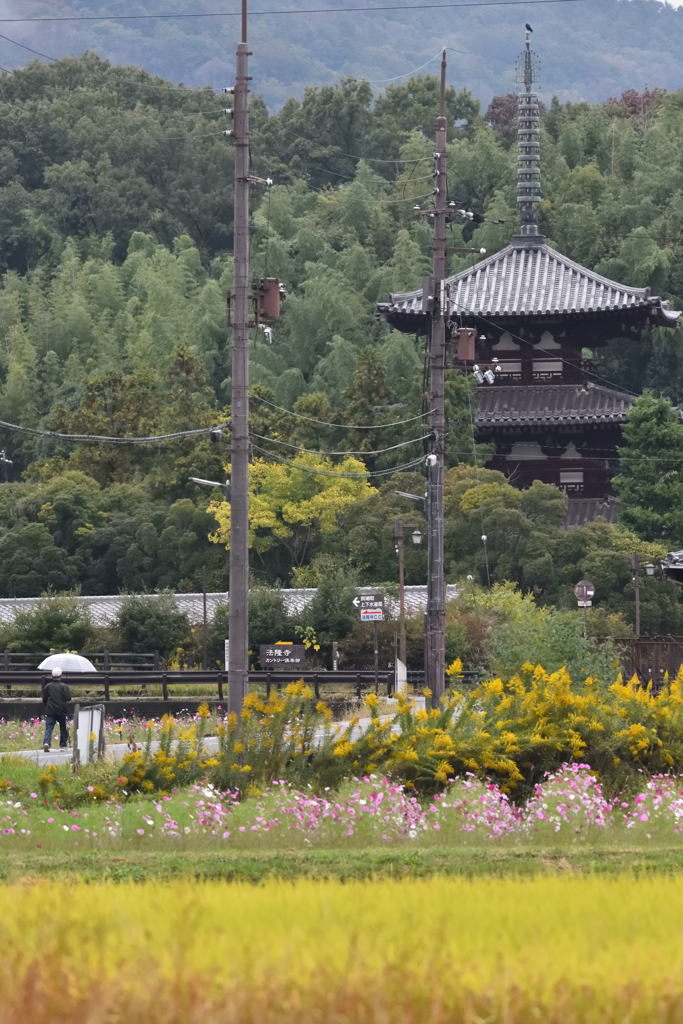 斑鳩秋景色（２）