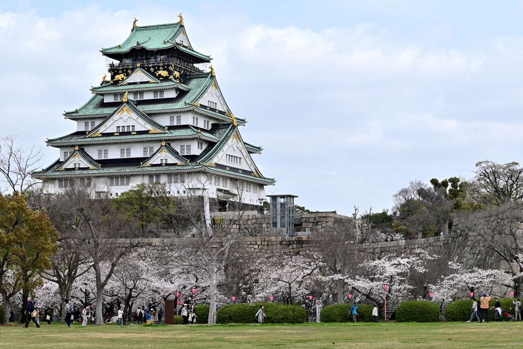桜の咲く頃（１０）