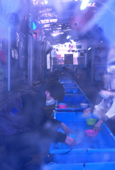 金魚を愛する街（２）