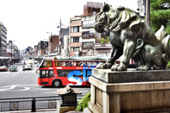 京の街を見守る獅子