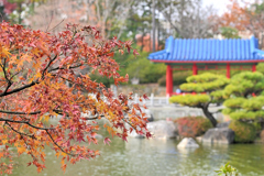 日本庭園（３）