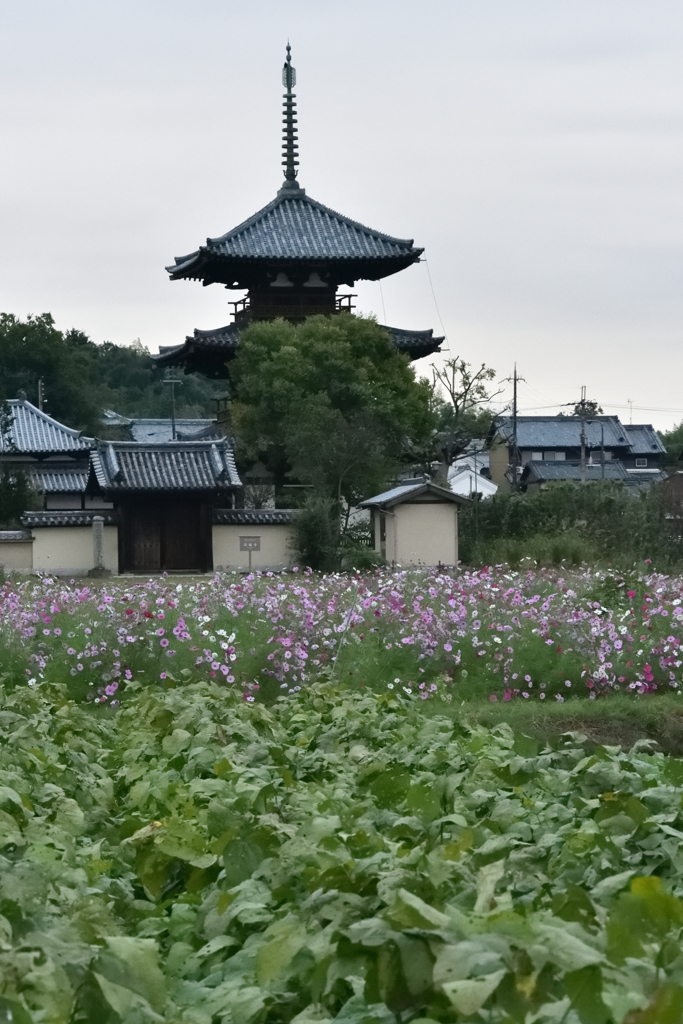 法起寺