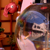 金魚を愛する街（５）