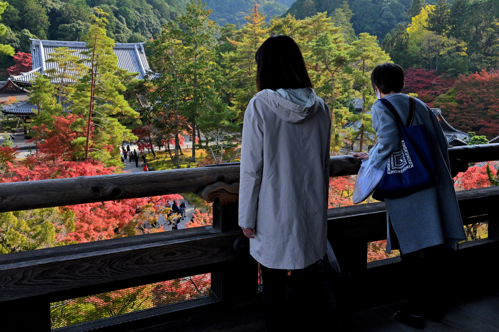 南禅寺の紅葉（４）