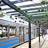 苔玉のぶら下がる駅（５）