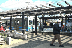 苔玉のぶら下がる駅（２）