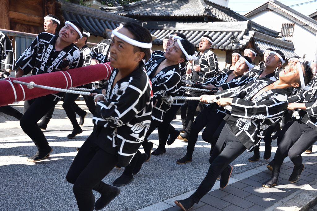 岸和田だんじり祭り（４）