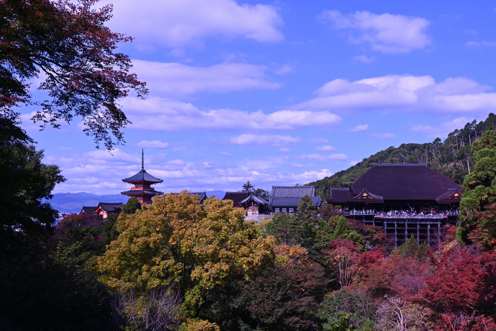 紅葉の始まり（１）