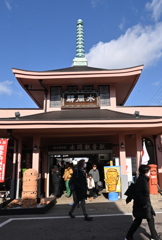 苔玉のぶら下がる駅（１）