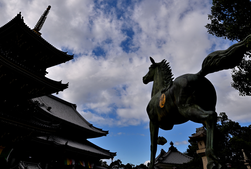 奉納馬（２）