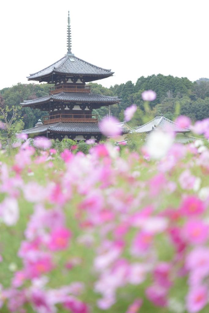 法起寺 三重の塔