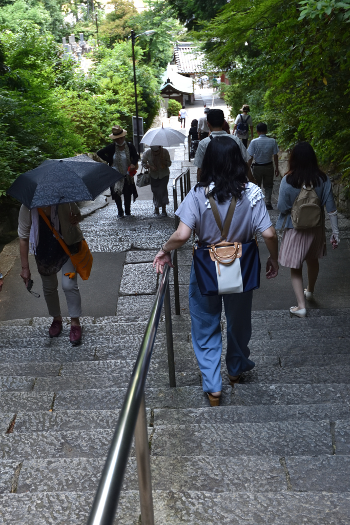 あじさい寺の参道（２）