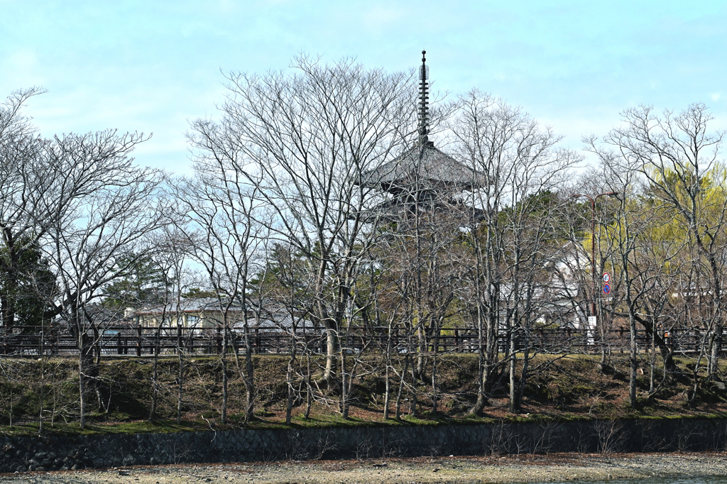 興福寺の塔