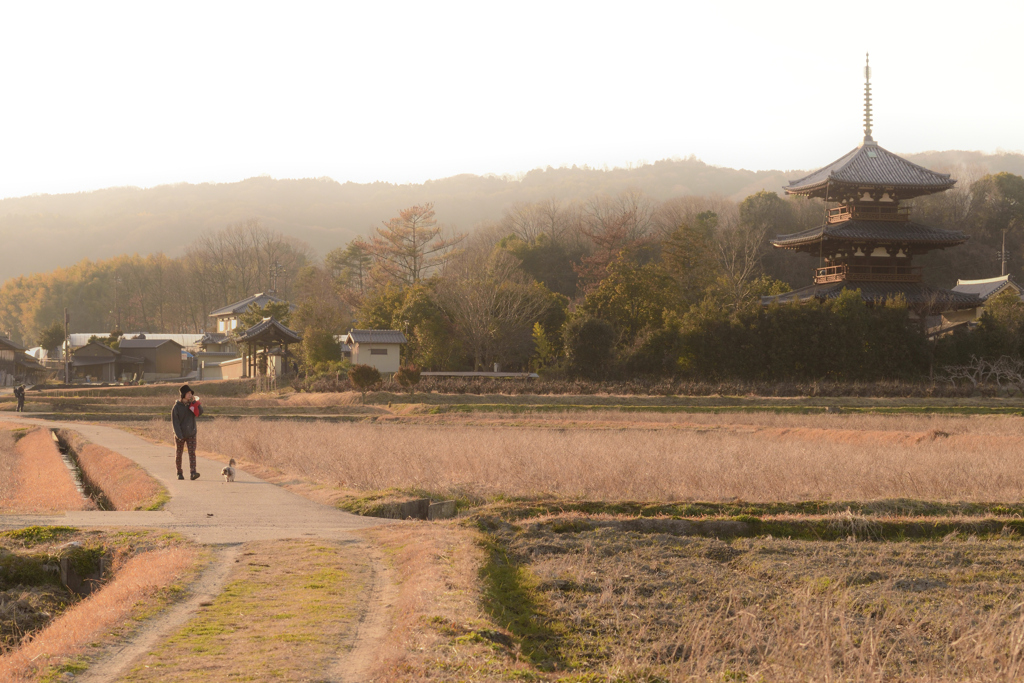 冬枯れの野