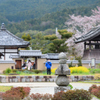 蘇我入鹿の首塚