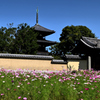 法起寺（３）
