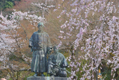 龍馬と慎太郎も花見ぜよ