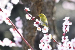 春の日差しの中で（９）