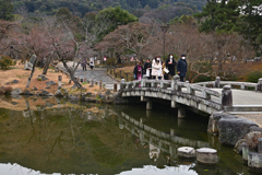 冬の円山公園