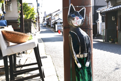 電柱の影に猫