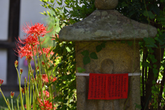 花の寺　般若寺　（０７）