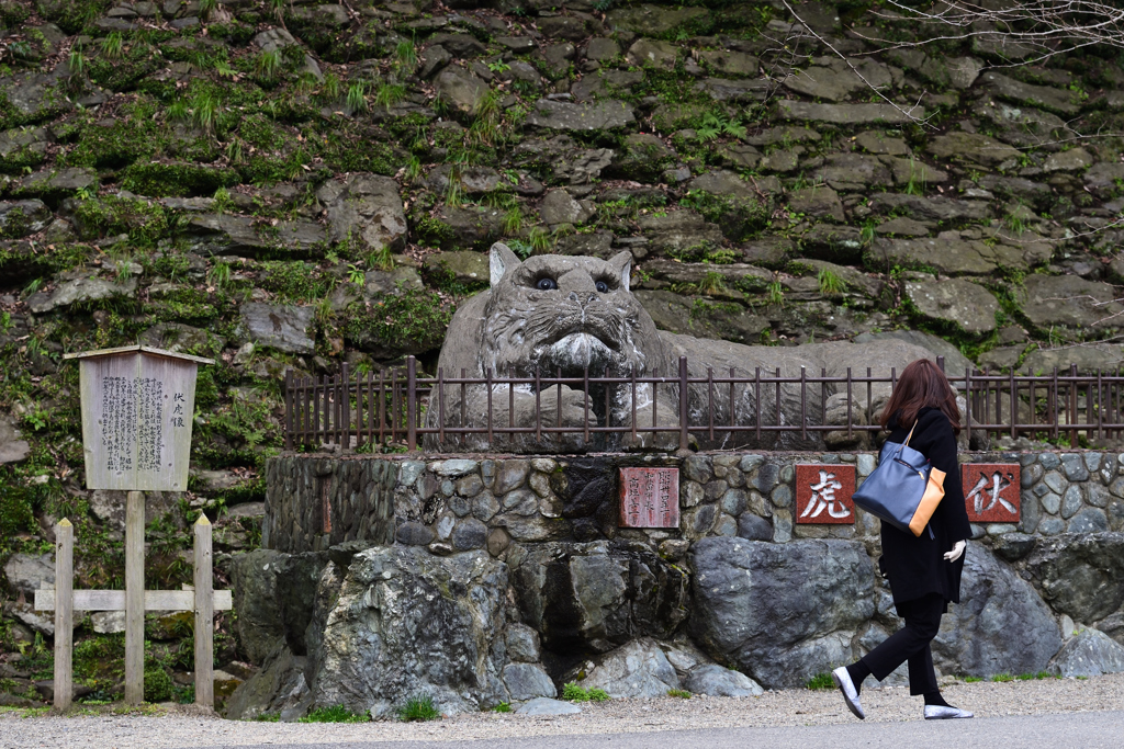 和歌山城に住む虎