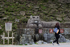 和歌山城に住む虎