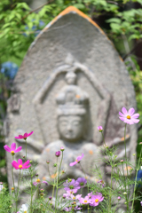 花と石仏（２）