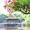鷺池の夏