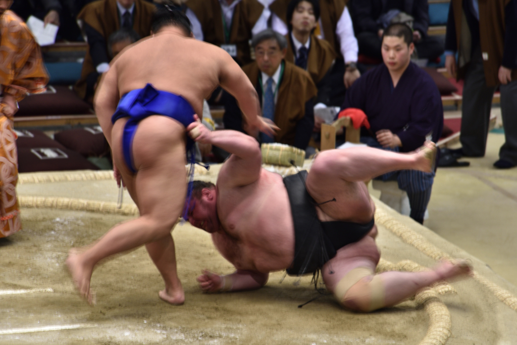 大相撲観戦（２）
