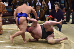 大相撲観戦（２）