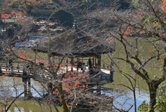 浮見堂ー１