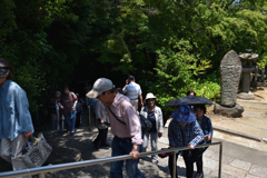 あじさい寺の参道（３）