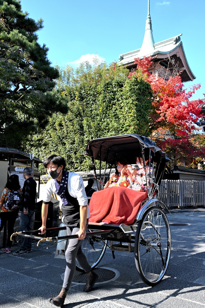 イケメン車夫が行く