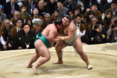 大相撲観戦（１１）