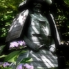鎧武者のいる紫陽花園