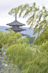 法隆寺 五重の塔