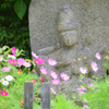 花と石仏（２）