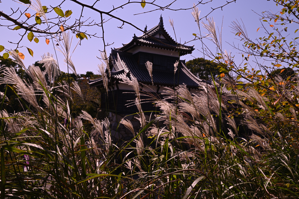 大和郡山城秋景色