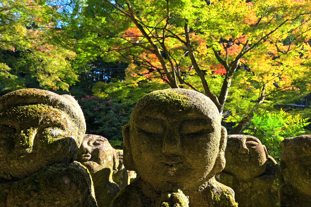 羅漢像のいる癒しの寺（３）