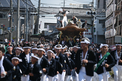 だんじり祭り（７）