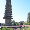 コスモスの咲く寺（０６）