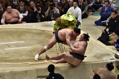 大相撲観戦（１）